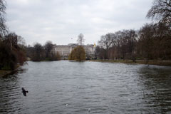 Buckingham Palace